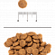 Блитз (Blitz) adult dog mini & toy breeds для собак мелких и миниатюрных пород 2 кг