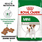 ROYAL CANIN MINI ADULT 4 кг корм для собак мелких пород с 10 месяцев до 8 лет 1х4