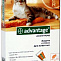 BAYER Адвантейдж 4 пипетки капли от блох для котят и кошек весом до 4 кг