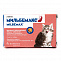 Мильбемакс антигельметик для котят и молодых кошек 2 таблетки
