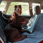 Osso Car Premium Автогамак-накидка для перевозки собак в автомобиле
