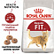 ROYAL CANIN FIT 32 4 кг корм для взрослых кошек в возрасте от 1 до 7 лет 1х4