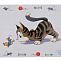 Trixie (Трикси) коврик под миску "Comik Cat" 44*29 см